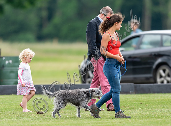 Polo action, Warwickshire Cup Final, Cirencester Park