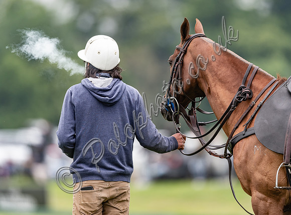 Fermin Carballo polo groom