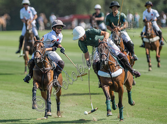 Polo action, 2025 Gold Cup quarter finals, Cowdray Park Polo Club