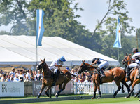 Argentine Ambassador's Cup  El Remanso v Habtoor