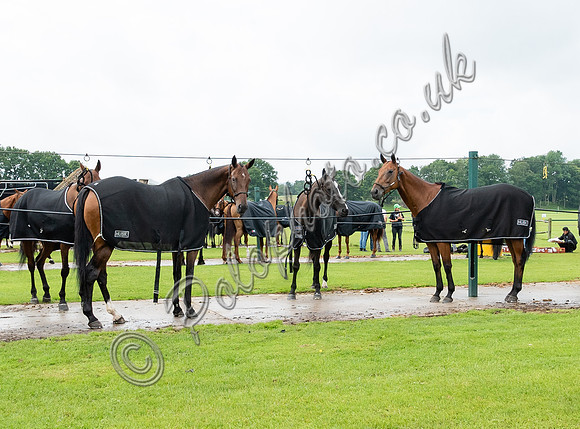Polo action, 2021 Gold Cup, Cowdray Park Polo Club