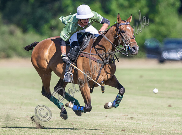 Polo action and presentation NPM Tournament 2025, Cirencester Park