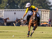 Polo action, County Cup 2025 league match, Cirencester Park