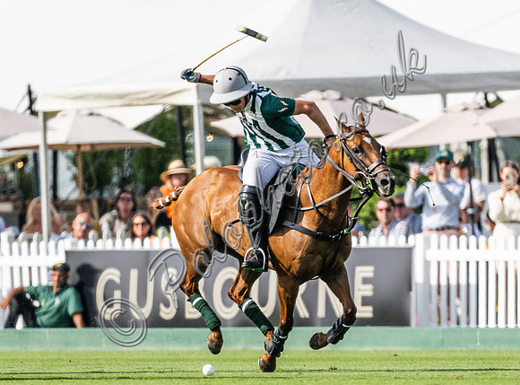 Polo action 2024 Gold Cup/Tramontana Cup, Cowdray Park