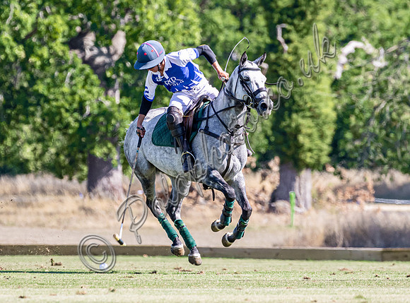 Polo action and presentation NPM Tournament 2025, Cirencester Park