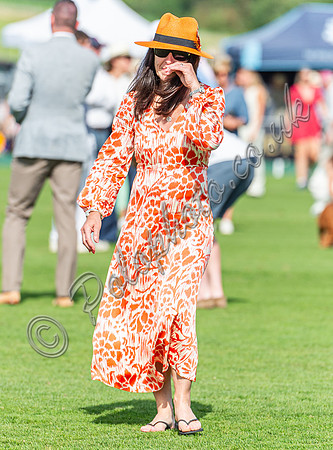 Treading the divots at polo