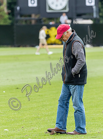 Treading in the divots at polo