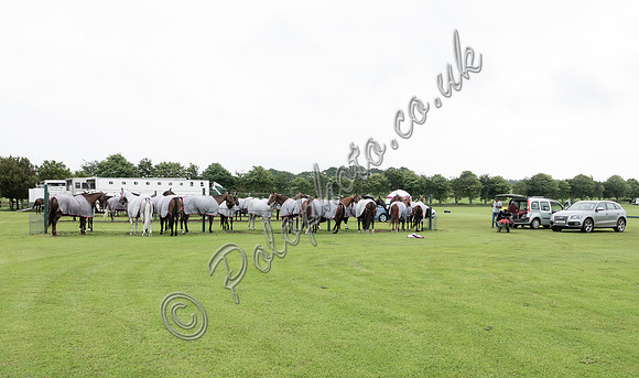 Polo action, 2021 Gold Cup, Cowdray Park Polo Club