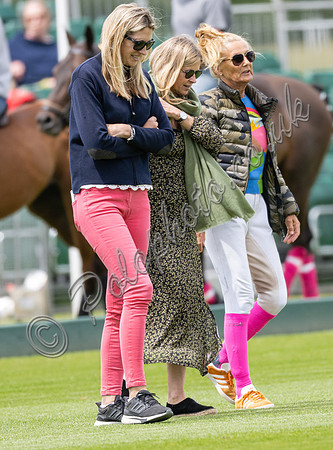 Treading in the divots at polo
