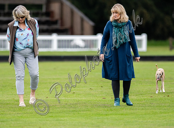 Treading in the divots at half-time