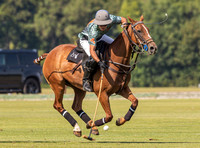 Polo action, County Cup 2025 league match, Cirencester Park