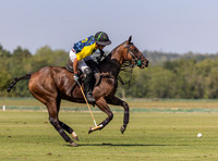 Polo action, County Cup 2025 league match, Cirencester Park