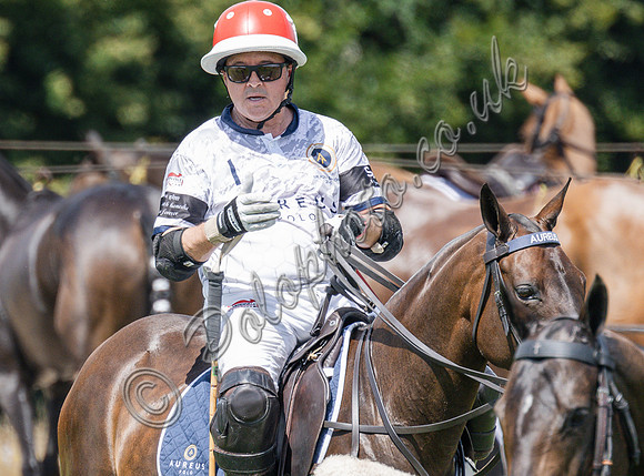olo action, 2025 Gold Cup, Cowdray Park Polo Club