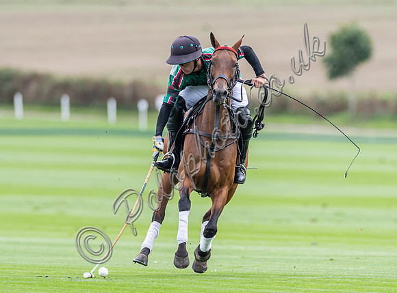 Autumn Cup 2022 at  Cowdray Park, Weybourne v Dubai