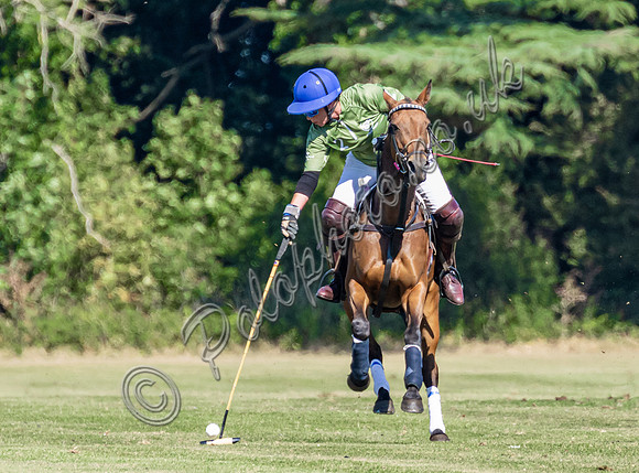 Polo action and presentation NPM Tournament 2025, Cirencester Park