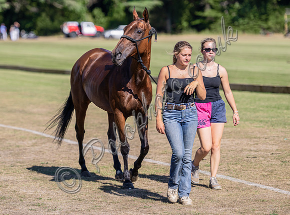Polo action and presentation NPM Tournament 2025, Cirencester Park