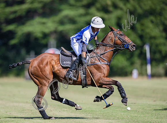 Polo action and presentation NPM Tournament 2025, Cirencester Park