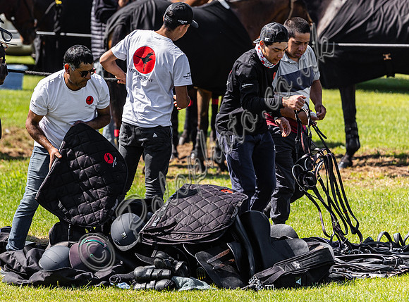 The  Trippetts Challenge Subsidiary Final and Presentation, 2024, Cowdray Park Polo Club