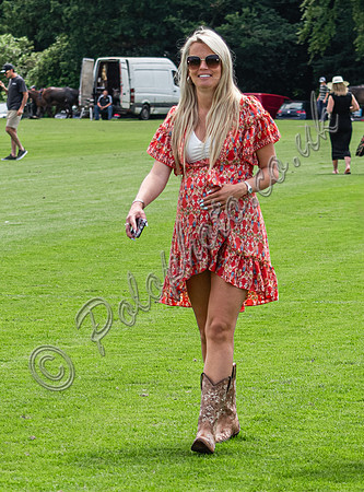 Treading in the divots at polo