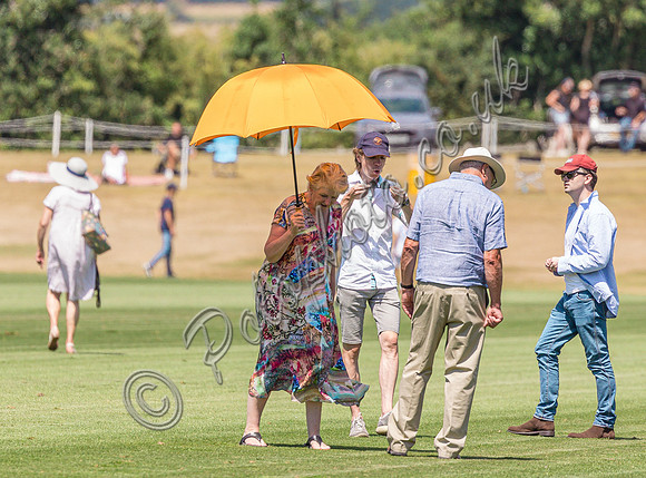 polo action Gold Cup quarter finals 2022, Cowdray Park Polo Club