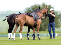 Polo action, Glion County Cup, Cirencester Park