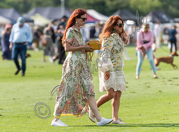 Treading the divots at polo