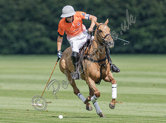 Polo action, 2025 Gold Cup, Cowdray Park Polo Club