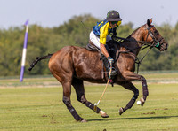 Polo action, County Cup 2025 league match, Cirencester Park