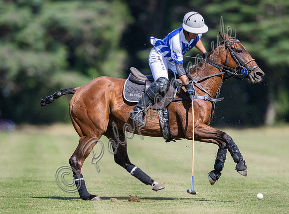 Polo action and presentation NPM Tournament 2025, Cirencester Park