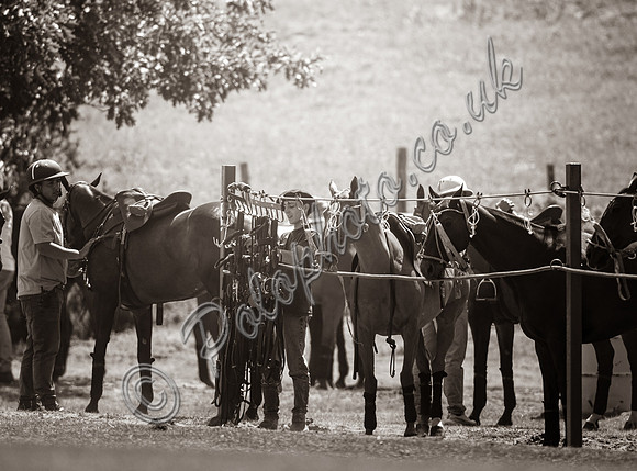 Grooms and Ponies
