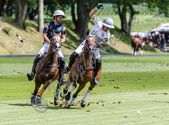 Polo action, 2024 Gold Cup, Cowdray Park Polo Club