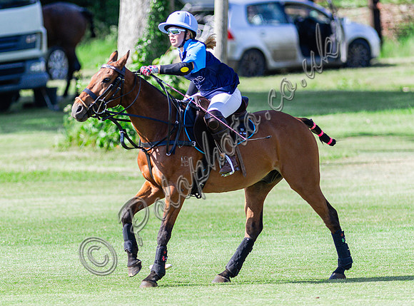 Henderson Rosebowl polo at Beaufort Polo Club