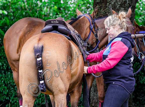Polo action and Presentation, The Wichenford Bowl, Beaufort Polo Club