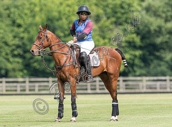 Ladies 16 Goal series