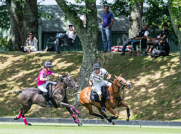 Polo action, 2024, Cowdray Park Polo Club