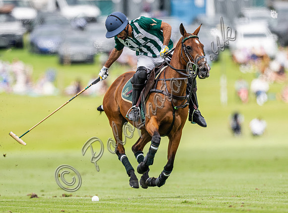 Polo action, 2024 Gold Cup, Cowdray Park Polo Club