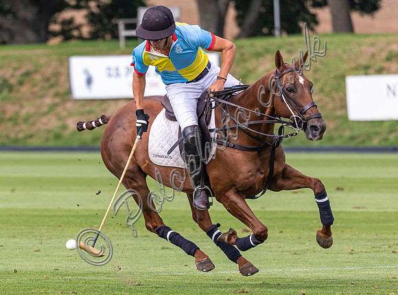 Polo action, 2022 Autumn Cup, Cowdray Park Polo Club