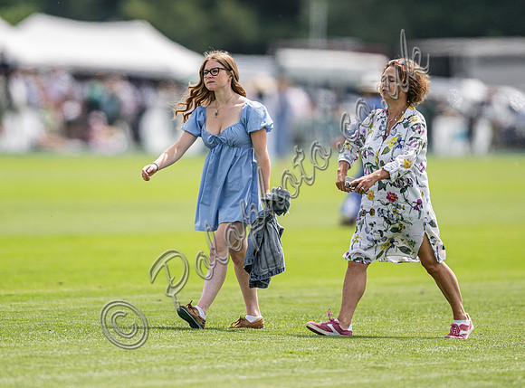 Treading in the divots at polo