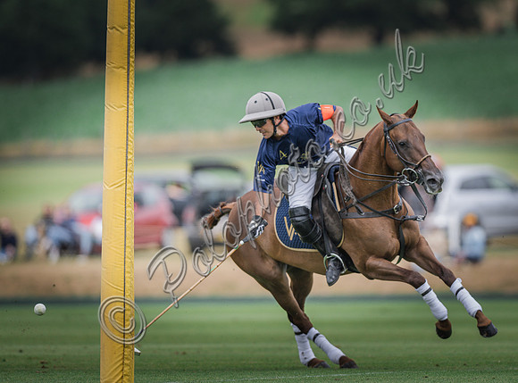 Polo action, 2025 Gold Cup, Cowdray Park Polo Club