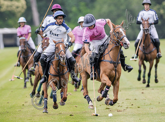 Polo action, 2025 Gold Cup, Cowdray Park Polo Club