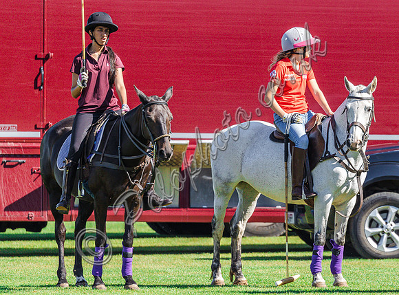 OKL Equestrian - Olivia Lamphee