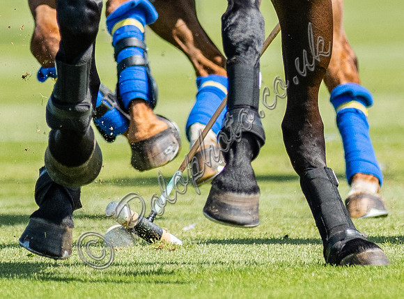 Polo action, 2021 Gold Cup, Cowdray Park Polo Club