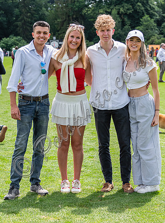 Treading in the divots at polo