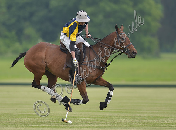 Dave Allen polo player in action