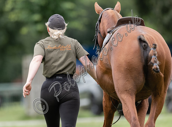 polo action for the Corinium Bowl, Cirencester Park