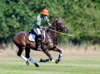 Polo action and presentation NPM Tournament 2025, Cirencester Park