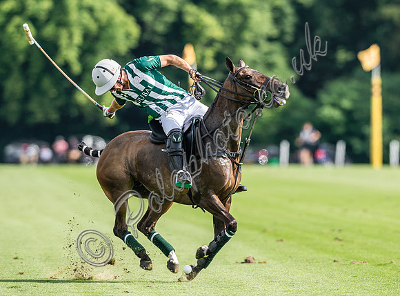 Polo action 2024 Gold Cup/Tramontana Cup, Cowdray Park