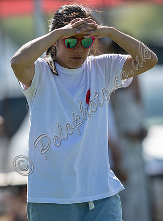 Polo action, 2025 Gold Cup quarter finals, Cowdray Park Polo Club