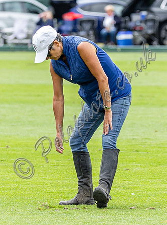 Treading in the divots at polo