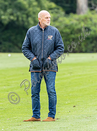 Treading in the divots at polo